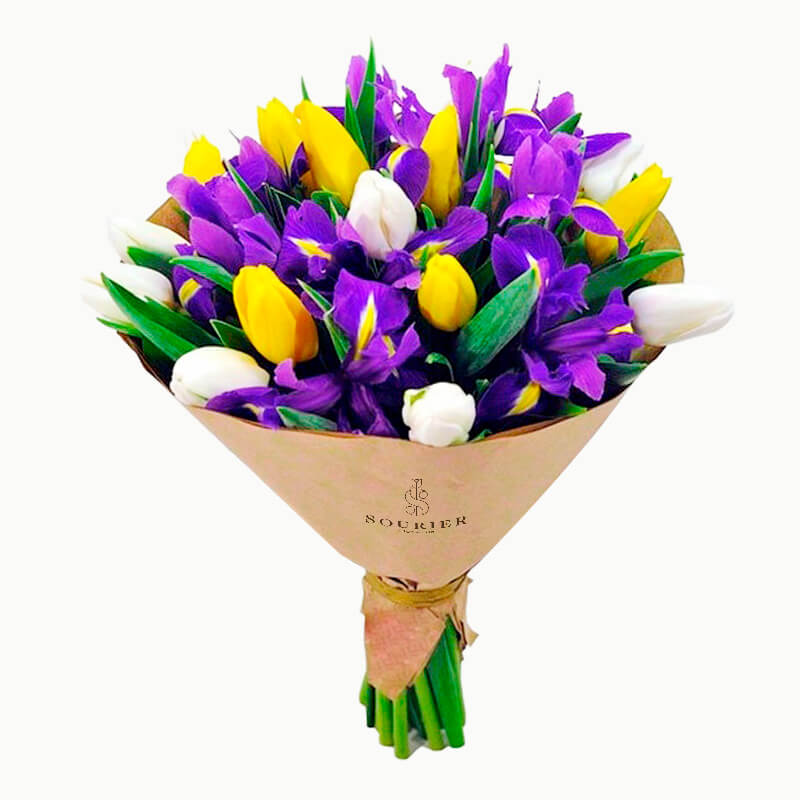 Ramo de 16 Tulipanes con Iris - Sourier Floristería